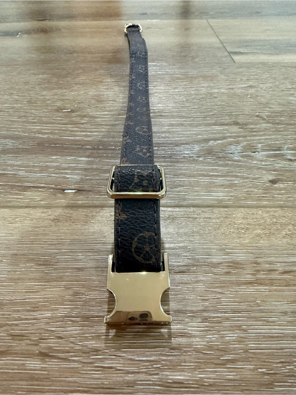 Gold-Trim Brown Patterned Dog Collar with Secure Buckle